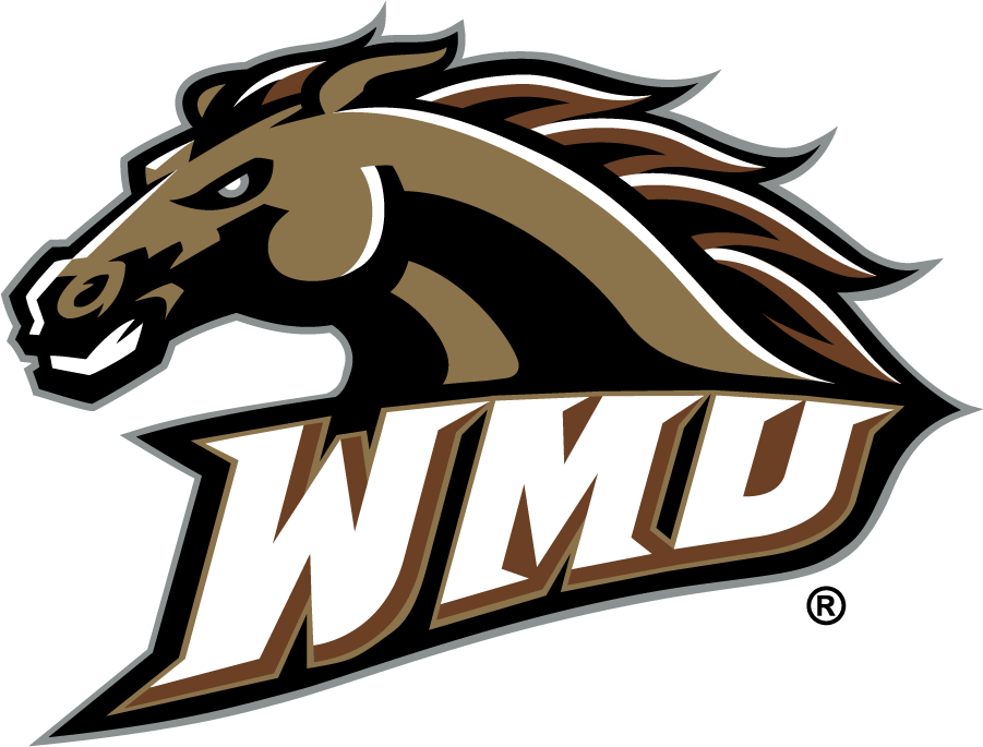 Western Michigan Broncos 1998-2016 Alternate Logo diy iron on heat transfer